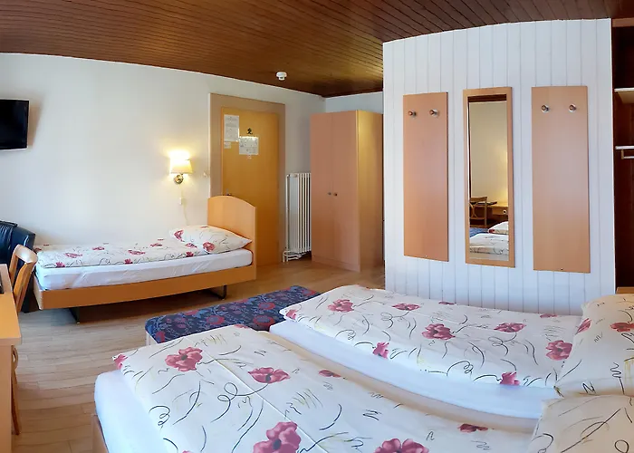 Hotel Roessli