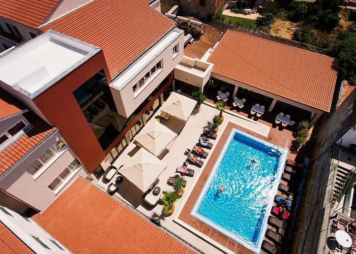 Hotel Borovnik