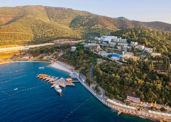 Duja Bodrum