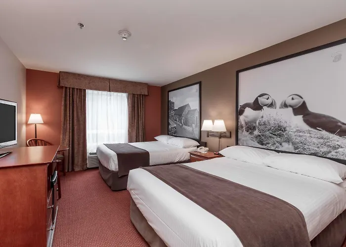 Super 8 By Wyndham St Johns
