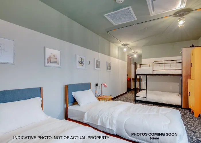 Viajero San Jose Hostel