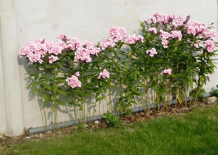 Vakantiewoning Louis