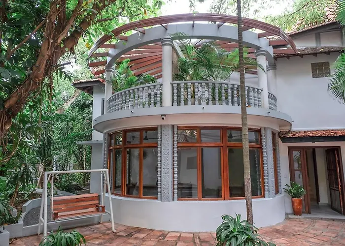 Jungle Addition