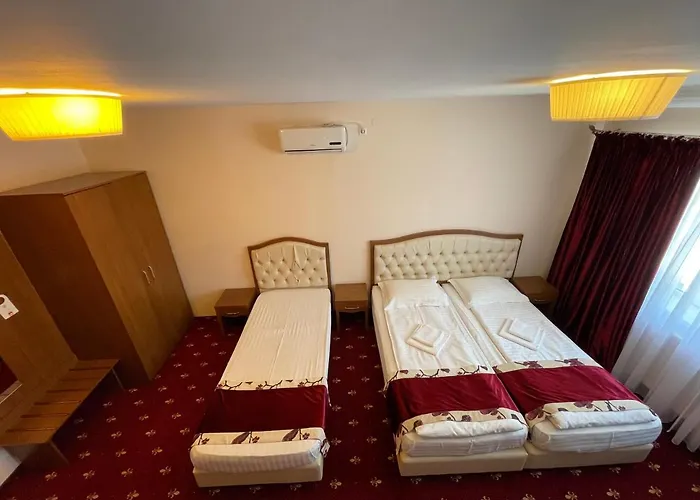 Hostel Paltinis