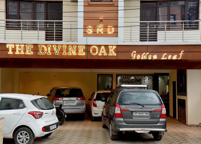 The Divine Oak Golden Leaf