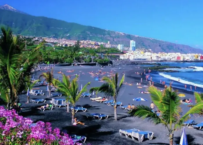 Cozy Studio Harbour View In Puerto De La Cruz