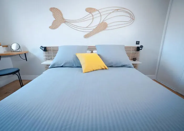 Coup De Coeur Assure Pour Ce T2 Renove Hyper Centre