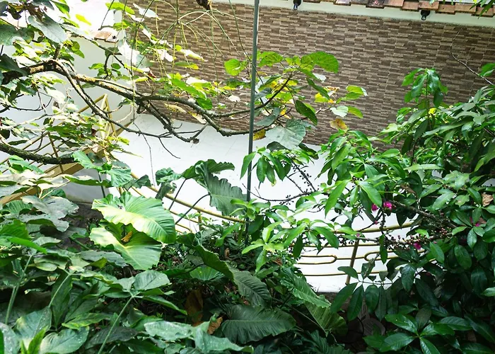 Green House Tarapoto