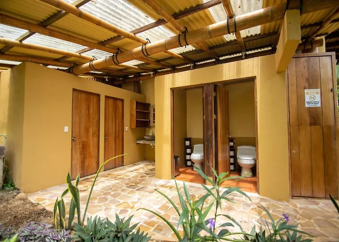 Selva Armonia Immersive Jungle Resort