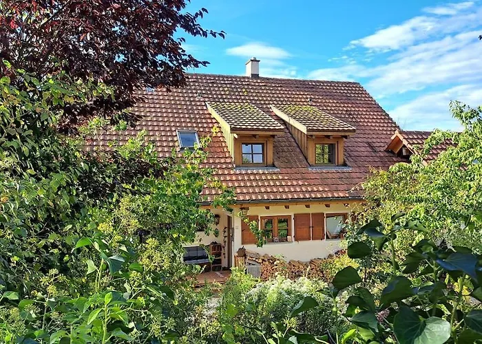 Gemuetliche Waldrandlage In Badenweiler Sehringen Ferienwohnung