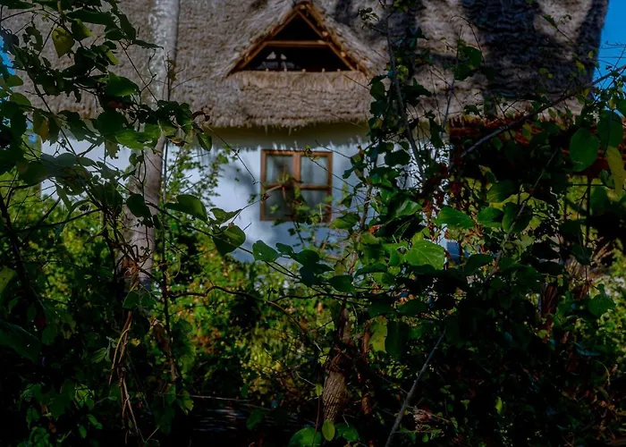 Afriican Village Zanzibar