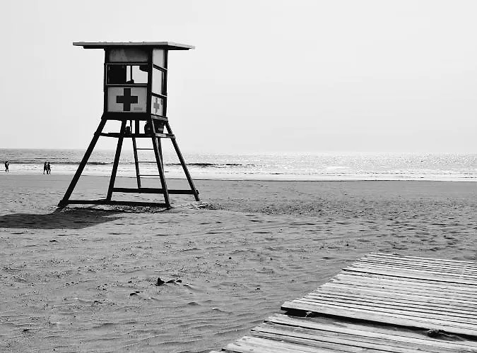 Endless Summer