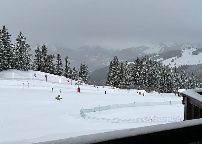 Avoriaz Malinka