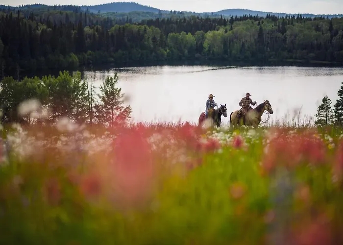 Montana Hill Guest Ranch