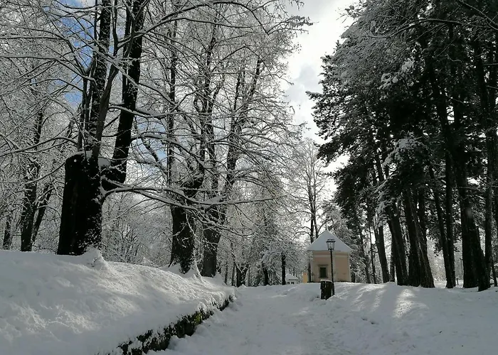 Appartamento Bellavista