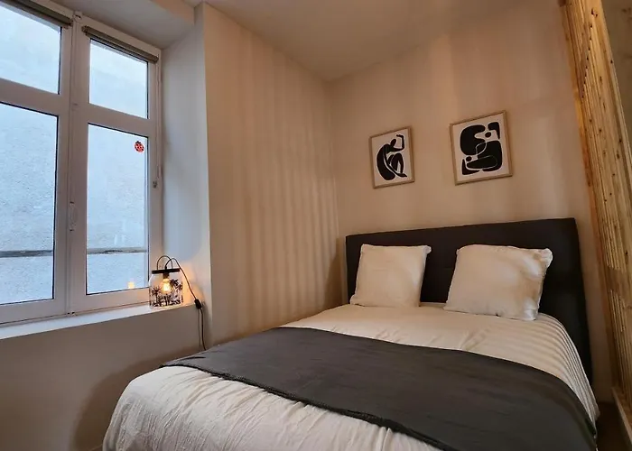 Les Appartements De Louis Spacieux-Centre Ville-Mairie