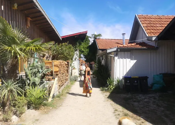 La Cabane Du Truquet