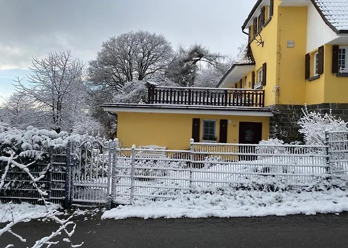 Wollmeiner'S Lodge