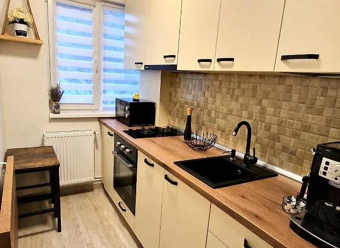 Apartamentul Gaviota-Langa Spitalul Judetean Si Casa Austria