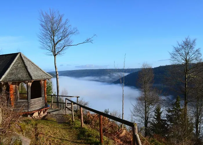Ferienwohnung Wildbad Sued