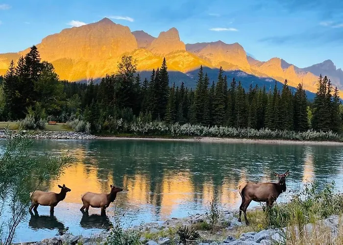 Unit #301 Mountain View 2Br In Canmore Down Town