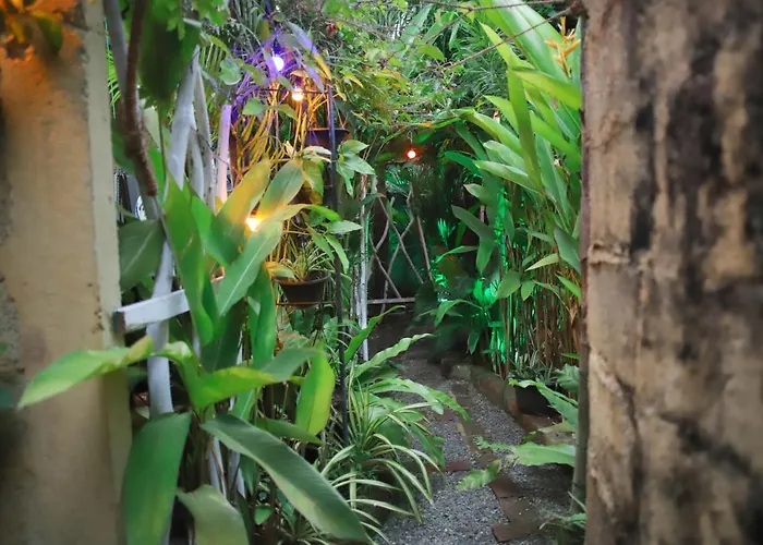 Ruwan Jungle Homestay