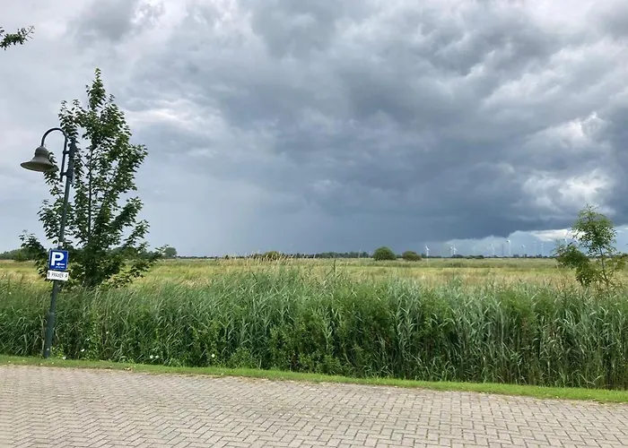 Trekvogels Utkiek