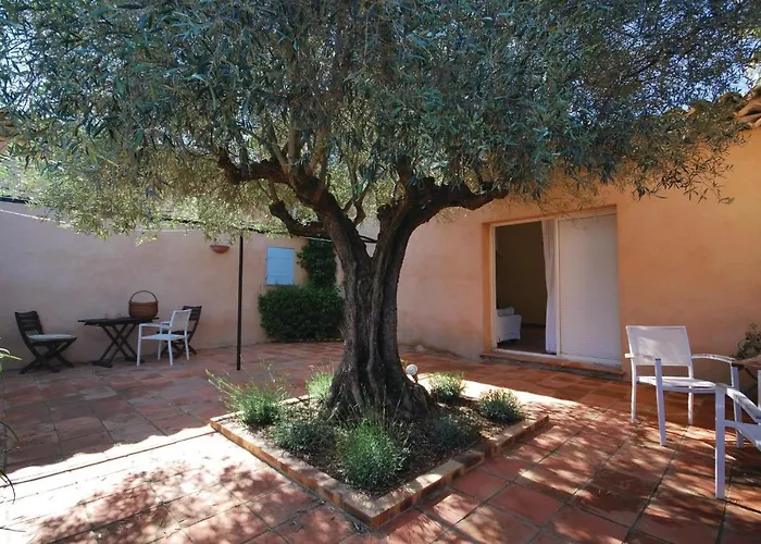 Pet Friendly Home In Ramatuelle