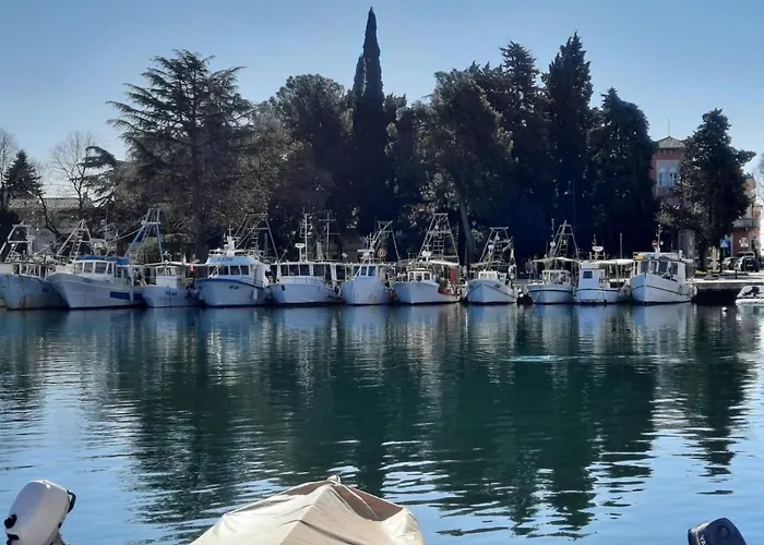 Old Harbour,Home Away From Home