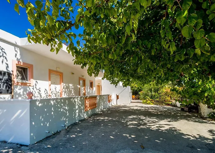 Vivi'S Studios