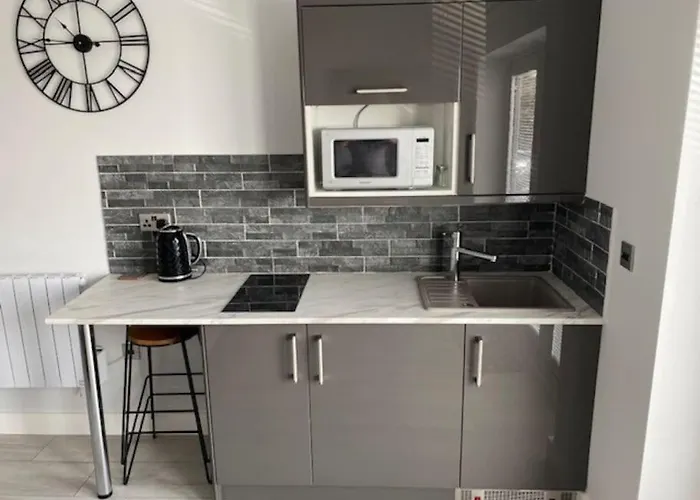 Luxury Mumbles View Studio Apartment