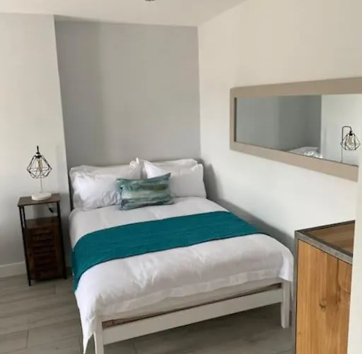Luxury Mumbles View Studio Apartment