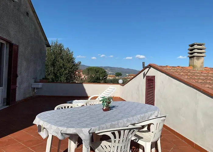 Nonna Nesti