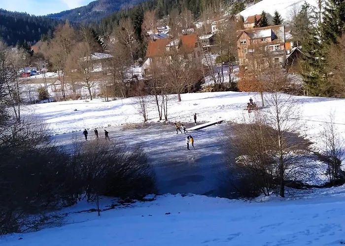 Ferienwohnung, Sauna & Gaestekarte Gratis Im Schwarzwald