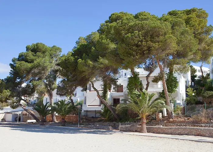 Bungalow Playa Dor 4