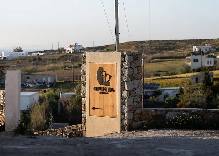 Opuntia Suites