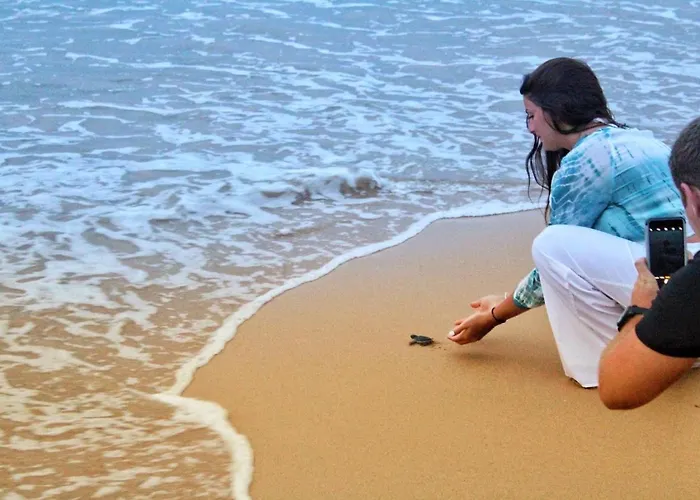 Villa 252 Kosgoda - Beach Side Stay & Tours