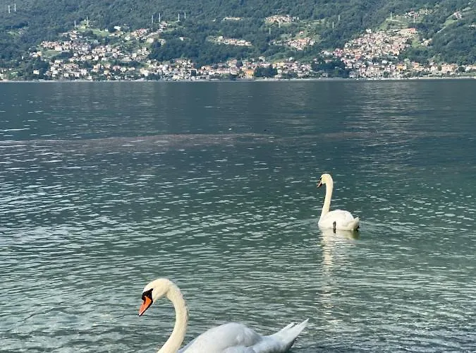 Casa Martina - Lake Como Apartment