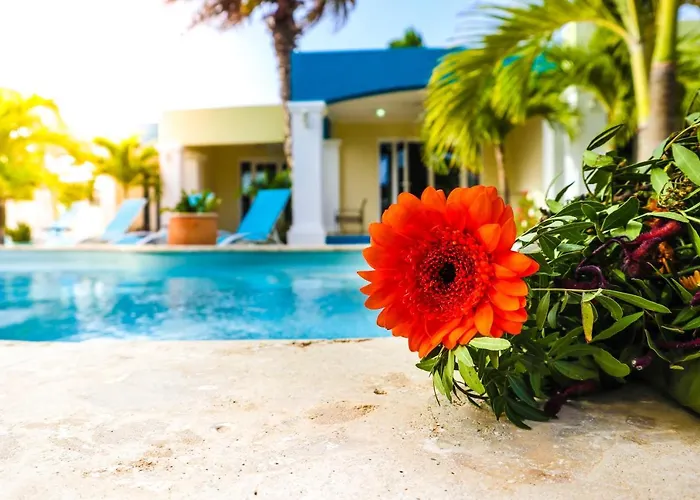 Aqua Viva Suites