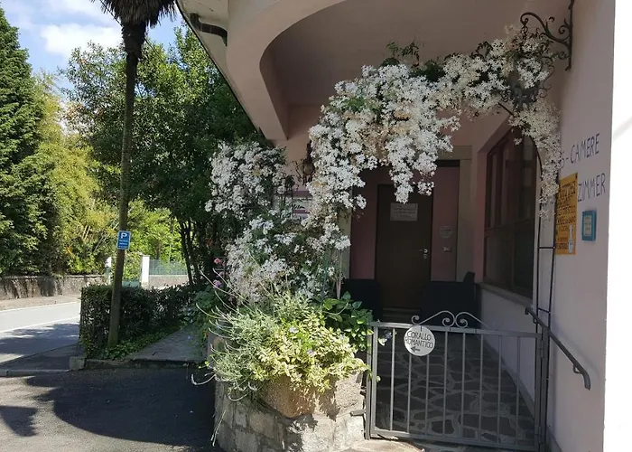 Apartment La Gatta Viola