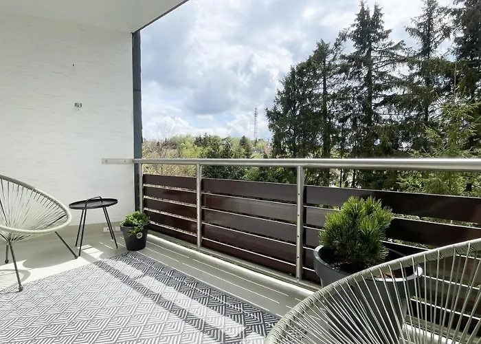 Inside Winterberg - Design Apartment - Ski Bike Sauna