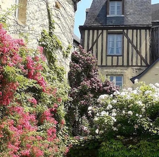 Petite Maison Centre Historique, Vue Ville Et Jardin, Au Calme, Classee