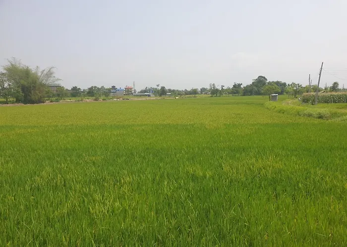 Shivas Hippies Colony