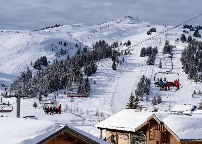 Les Saisies Appart 1 Chambre Au Pied Des Pistes