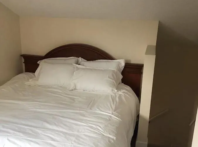 Unit #302 Mountain View 2 Beds In Dt