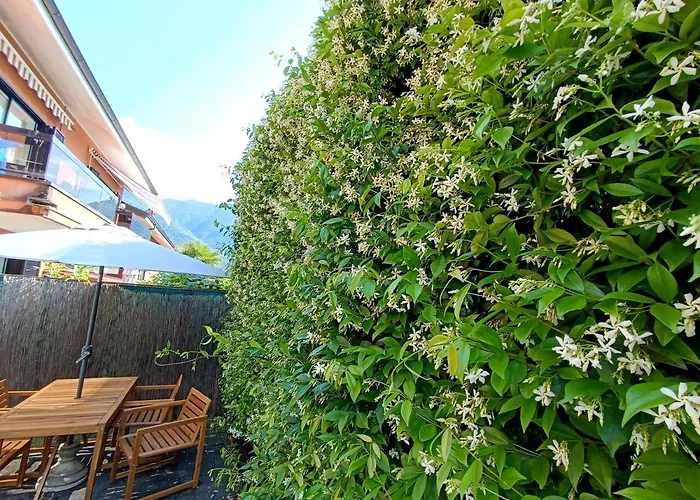 Appartamento Il Gelsomino Con Giardino E Piscina