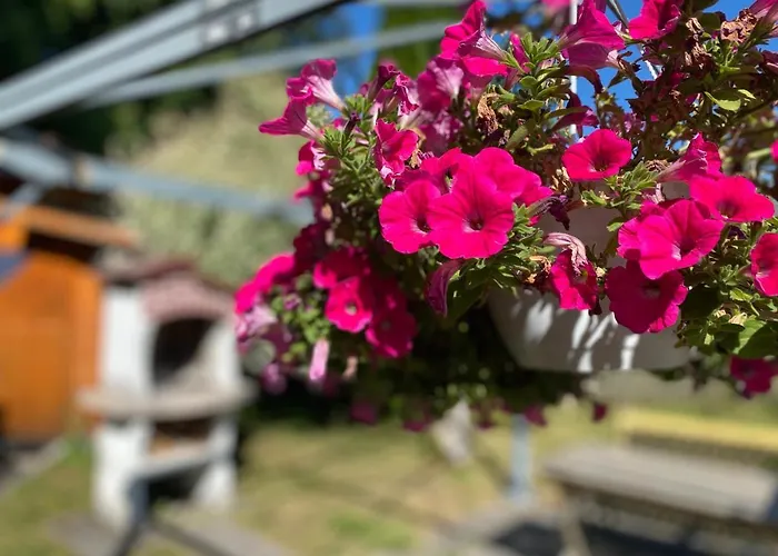 Ferienwohnung Am Franziskanergarten