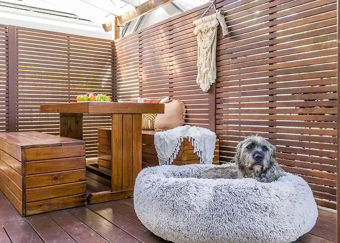 Shirley Beach House: Byron Bay's Pet-Friendly Coastal Retreat