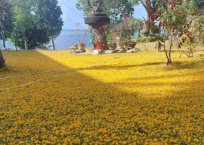 Bohol-Lahoy Dive Resort