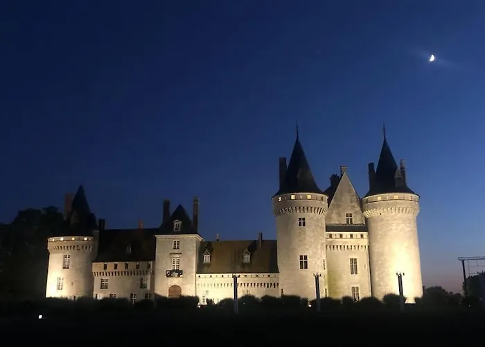 Le Domremy F2 Au Coeur D'Orleans